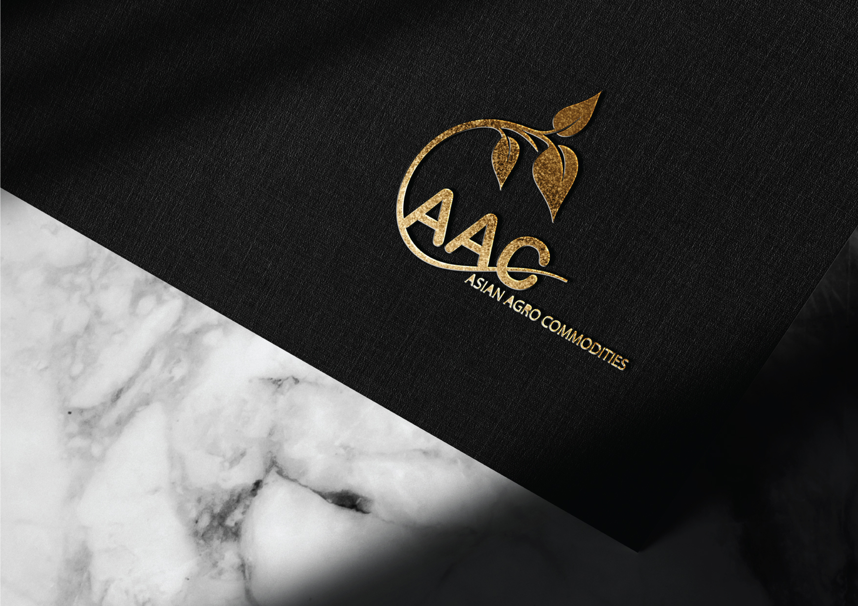 Luxury logo design for premium brand identity